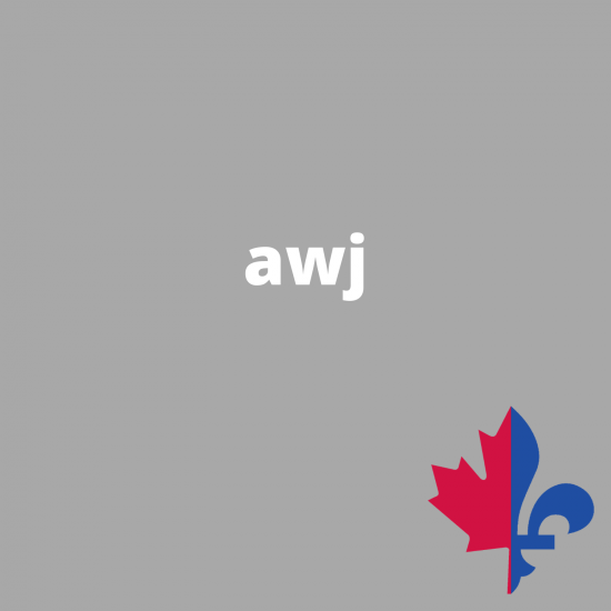 AWJ uni gris- Fait au Québec