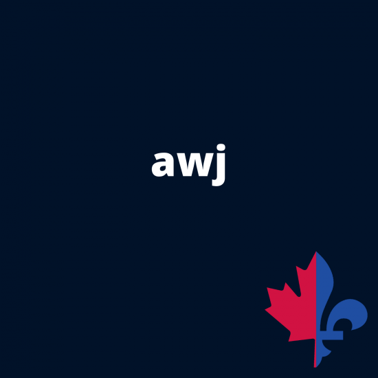 AWJ uni  navy - Fait au Québec 